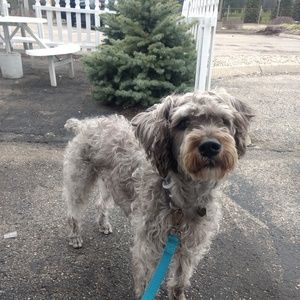 Meet your Posher, Carly